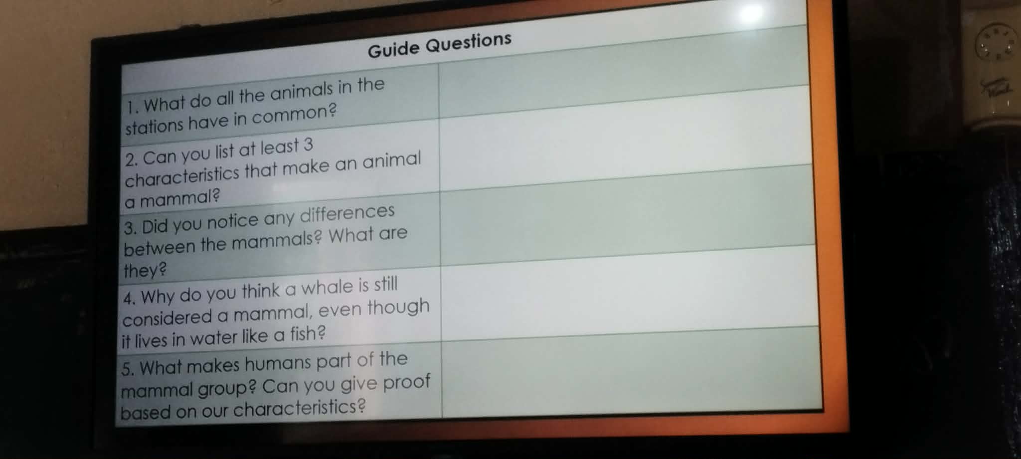 What are at least three characteristics that make an animal a mammal?